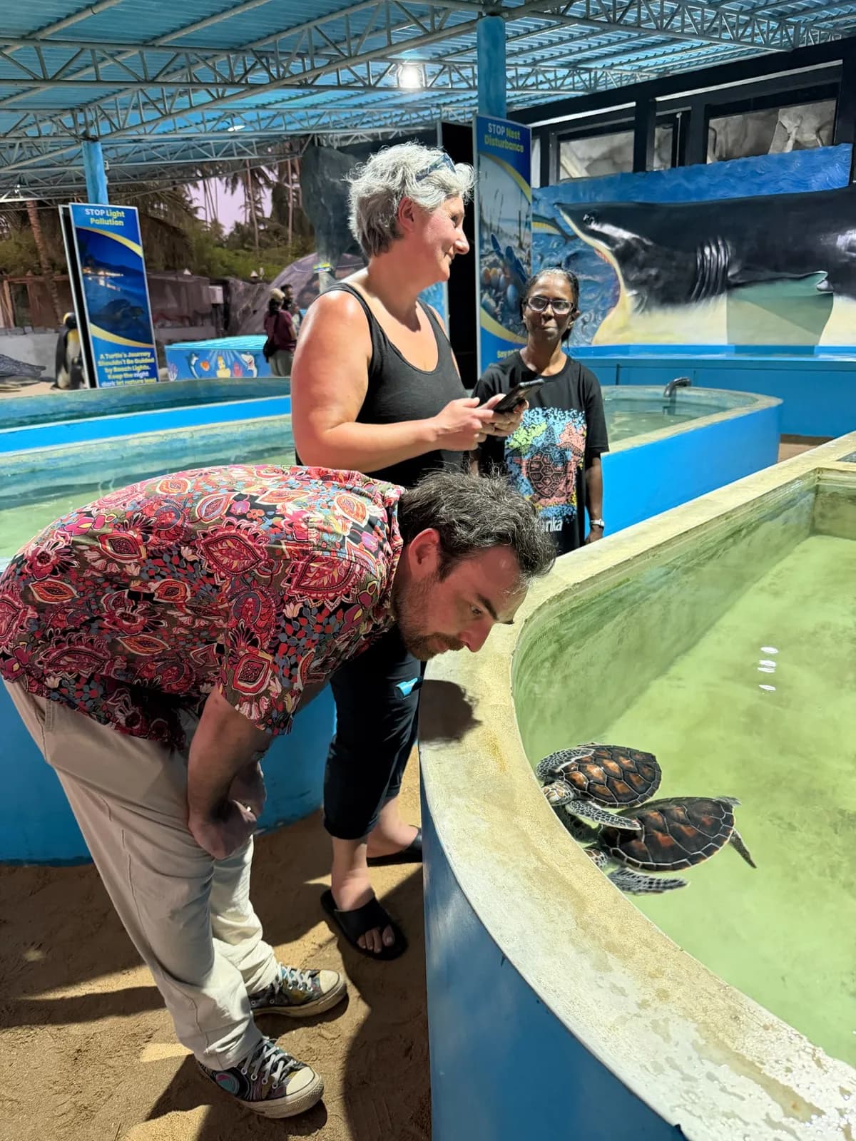 Wildlife Encounters