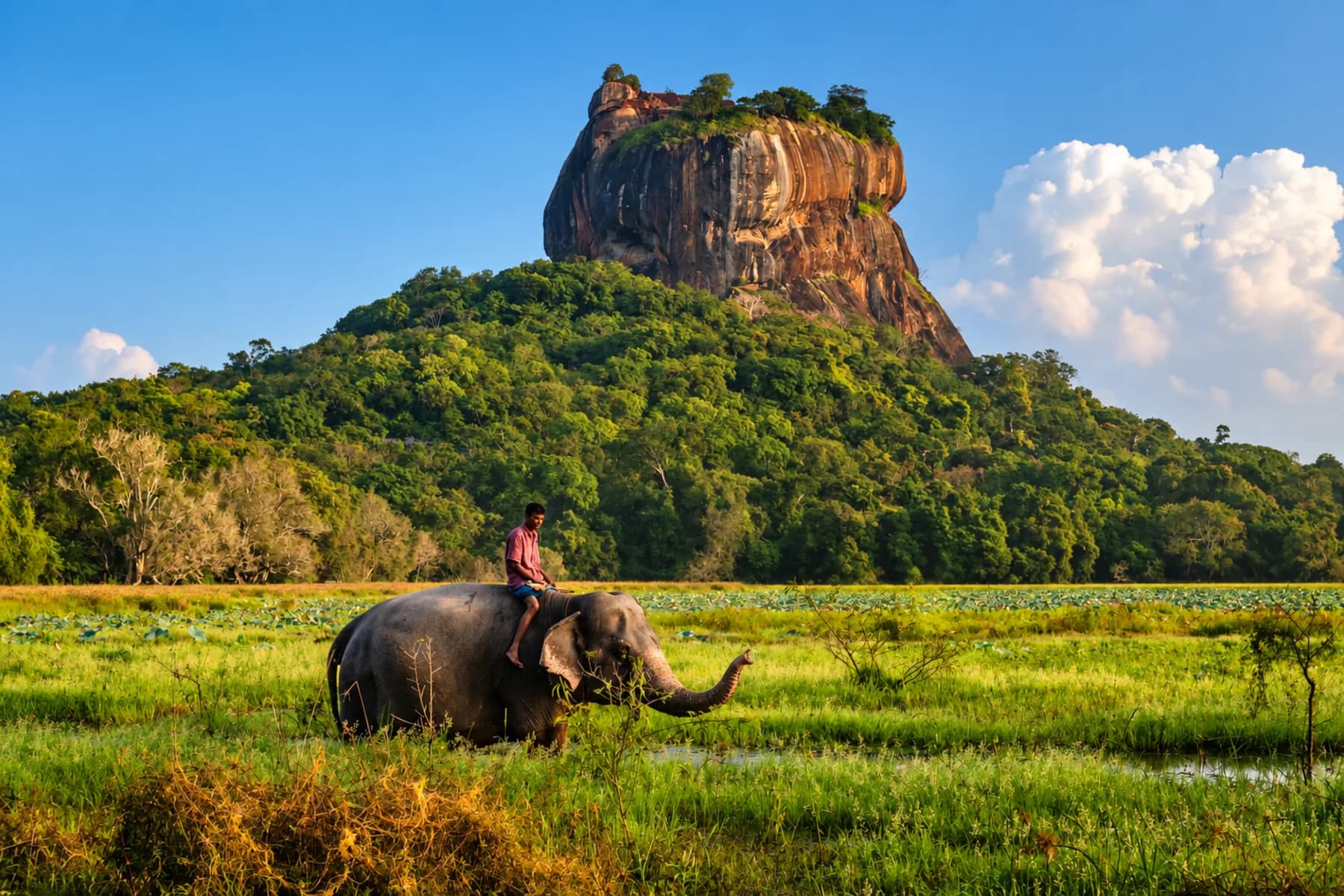 Elephant in front of Sigiriya across a lush Sri Lankan landscape